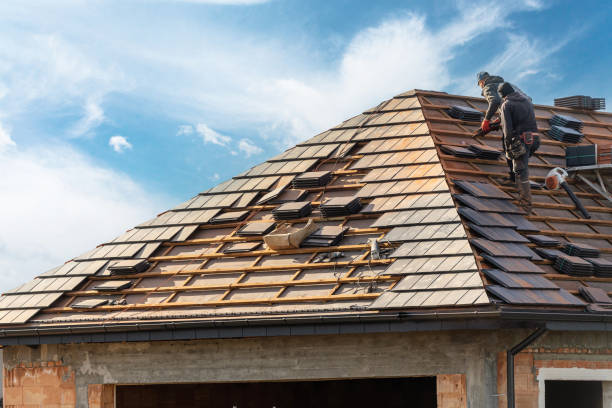 Best Emergency Roof Repair Services  in Northfield, MN