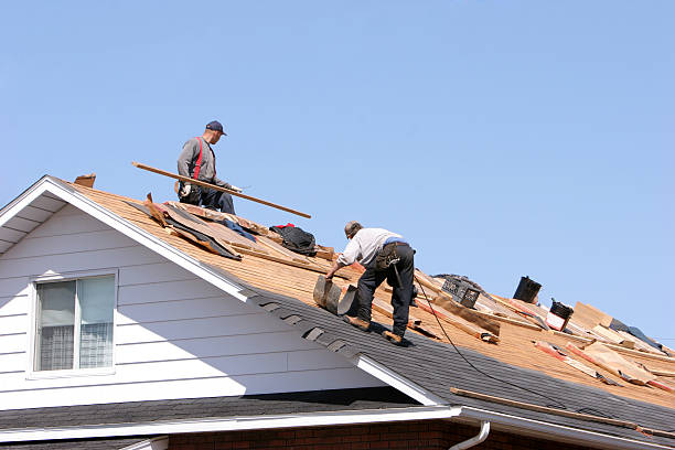 Best Hot Roofs  in Northfield, MN